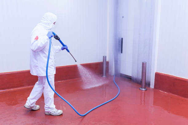 Best Rust Removal  in Pine Manor, FL