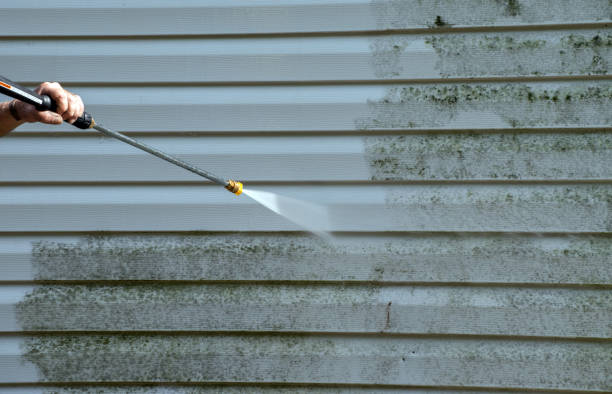 Best Patio and Deck Pressure Washing  in Pine Manor, FL