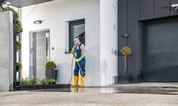 Best Historic Building Restoration  in Pine Manor, FL